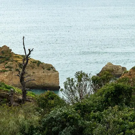 Prainha A23 * Alvor