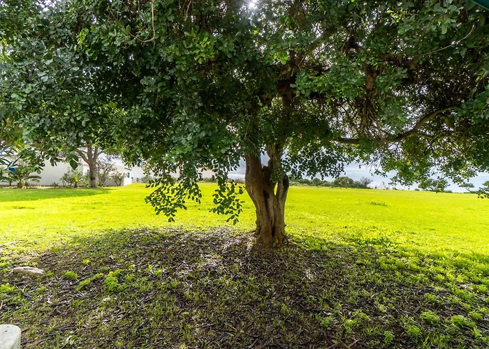 Apartament Prainha A23 *