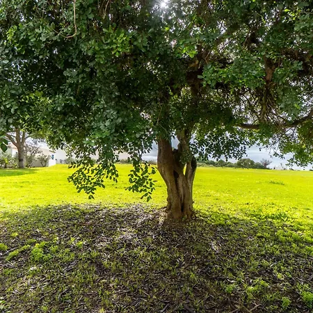 Appartement Prainha A23 *